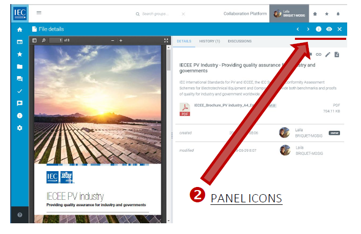 Example of panel icons displayed in 