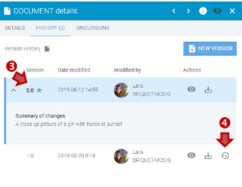 Restore version option.