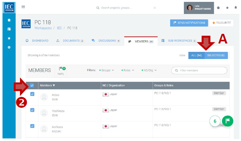 Use of All and Selected member view options.