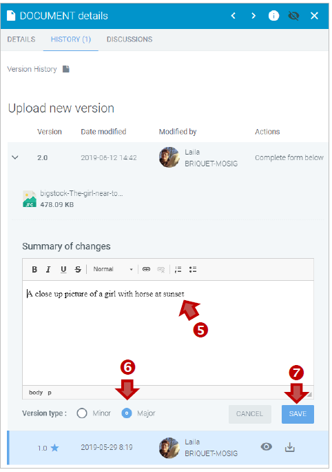 Entering version details.