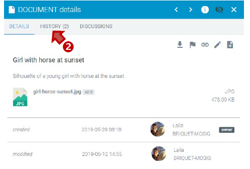 Accessing history from the Document's details.
